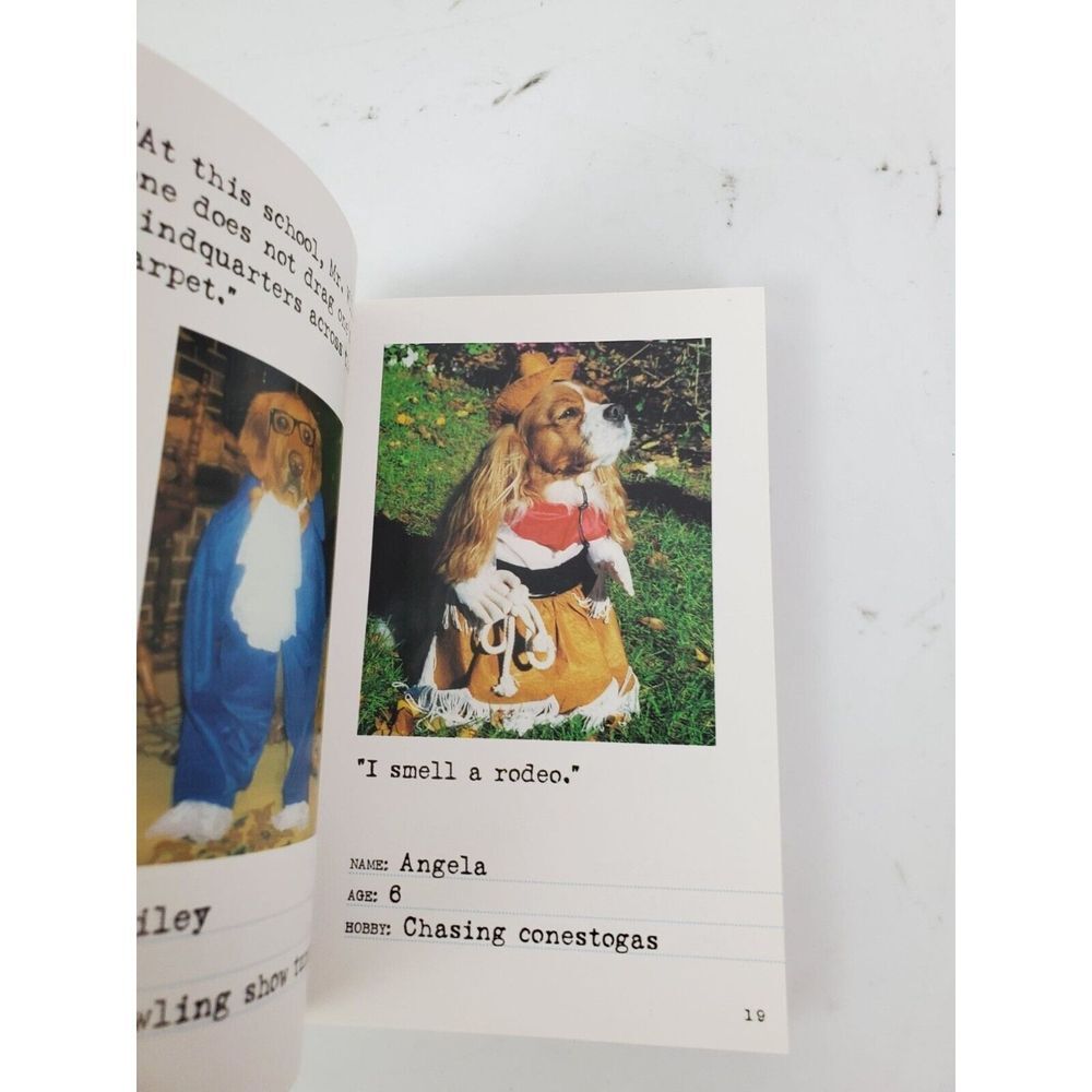Bad Dog Comedy Funny Picture Book Paperback GUC - Picture 5 of 6